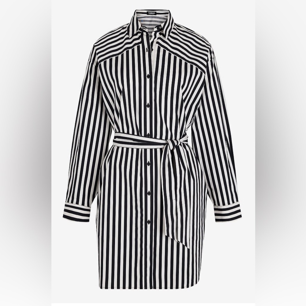 Express Black & White Striped Portofino Dress